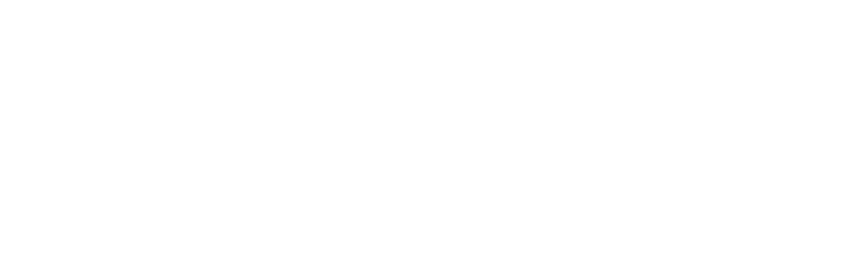 Logo | L. de Prins Automotive Hazerswoude-Dorp